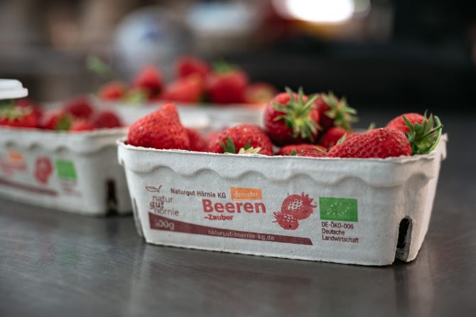 Frisches Obst aus der Region für Ihre Schulkantine